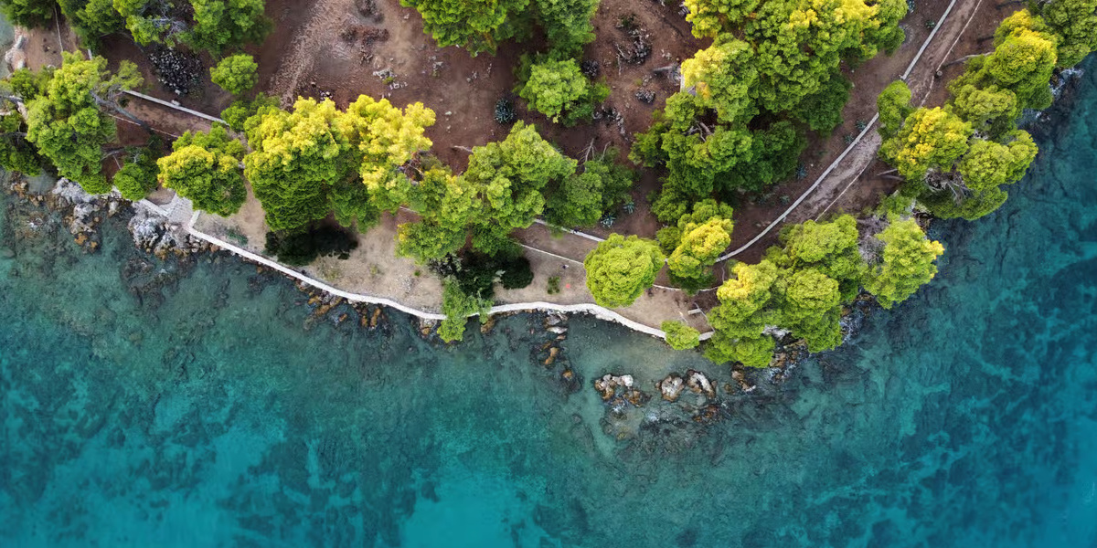 Speedboat Tour with Local Food, Olive Oil & Wine Tasting